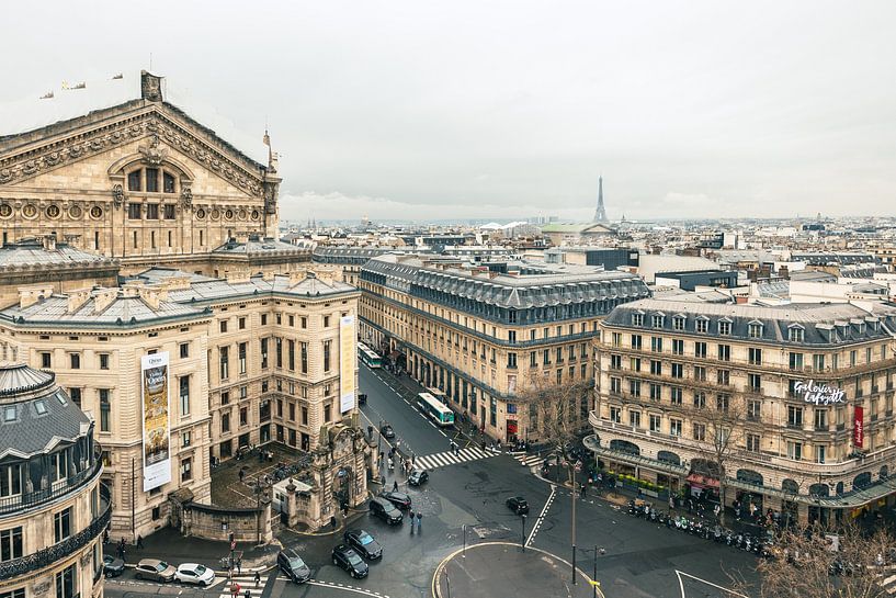 Uitzicht op Parijs vanaf Galaries Lafayette, Parijs, Frankijk van Dana Schoenmaker