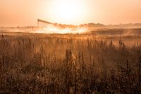 Magische ochtend met mist 1