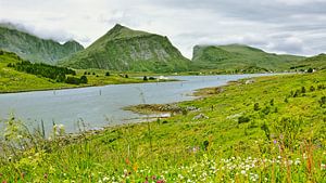Sundstraumen - grüne Idylle in Norwegen