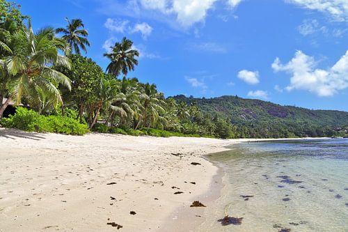 Droomstrand op de Seychellen - vakantie en recreatie