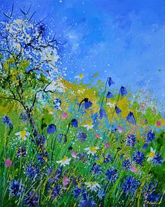 Wild flowers 459140