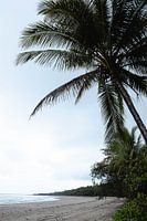 Cape Tribulation, Queensland, Australië