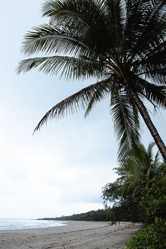 Cape Tribulation, Queensland, Australië van Jana Vondrackova