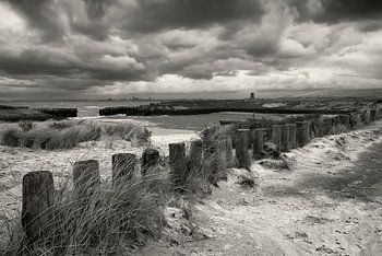 Langs de Zeeuws-Vlaamse kust.