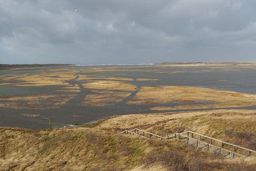 The SlufterTexel high water