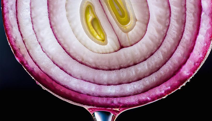 Gedetailleerde close-up van een verse ui van Mustafa Kurnaz
