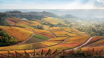 Grafkapel op de Württemberg met panorama van de wijngaarden in de herfst met gouden kleuren van Daniel Pahmeier