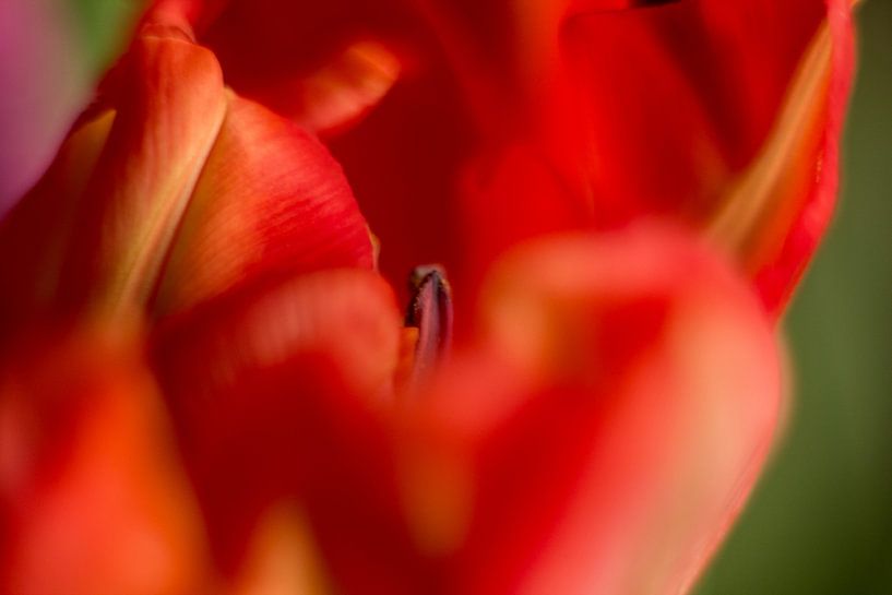 Lockmittel von Petra Dreiling-Schewe