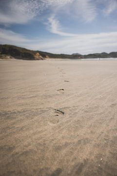Cape Farwell: The Northern Tip of New Zealand