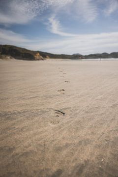 Cape Farwell: Het Noordelijke Uiteinde van Nieuw-Zeeland van Ken Tempelers