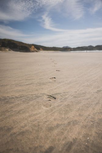 Cape Farwell: Het Noordelijke Uiteinde van Nieuw-Zeeland