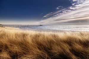 Sur la plage devant les dunes de Scharbeutz / Haffkrug.