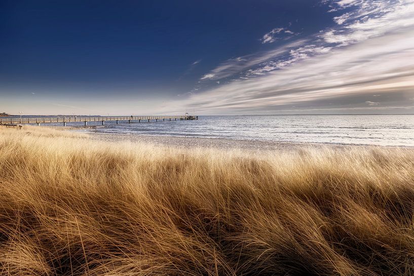 On the beach in front of the dunes of Scharbeutz / Haffkrug. by Voss photography