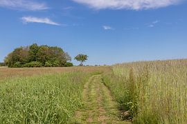 Groningen und Drenthe Veenkoloniën