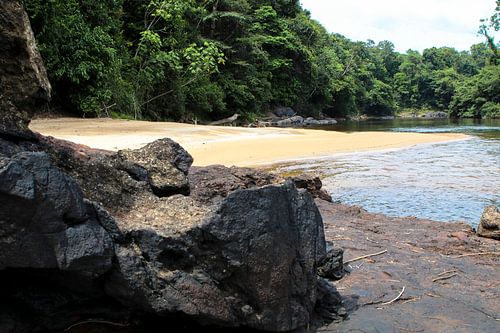 Strand bij de Sir Walter Raleigh Vallen in Suriname