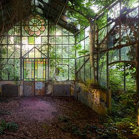 Hortus Botanicus ( Greenhouse) by Jeroen Kenis