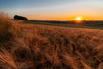 Summer sunset over the rolling hills of Limburg by Kim Willems