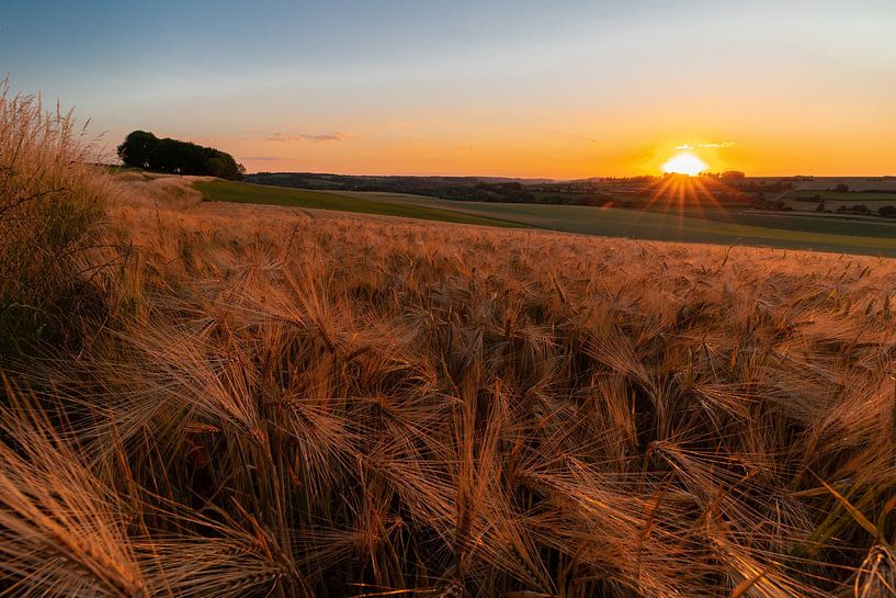 Coucher de soleil d'été sur les collines du Limbourg par Kim Willems