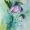Paarse Helleborus van Rita Tielemans Kunst