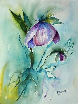 Paarse Helleborus van Rita Tielemans Kunst