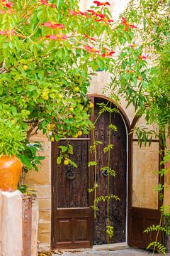 Romantische mediterrane Hauseingangstür mit schönen Pflanzen von Alex Winter