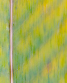 Kleurvol dynamisch abstract