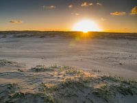 Landscape photo of the beach of Monsteren