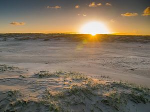 Photo de paysage de la plage de Monsteren