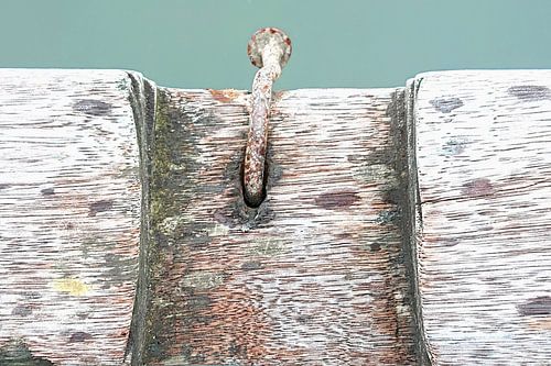 Spijker, hout en water