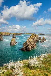 Küste am Port de Goulphar bei Bangor, Belle-Ile-en-Mer, Bretagne