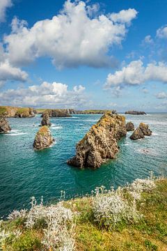 Coast at the Port de Goulphar near Bangor, Belle-Ile-en-Mer, Brittany