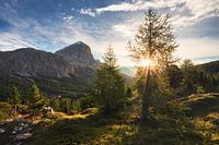 Un matin d'été au col Falzarego dans les Dolomites