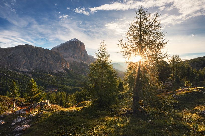 Een zomerochtend op de Passo Falzarego in de Dolomieten van Daniel Gastager