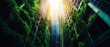 Licht overgoten stadsjungle uitzicht van Poster Art Shop