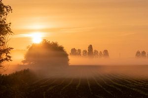 ländliche Atmosphäre von Tania Perneel