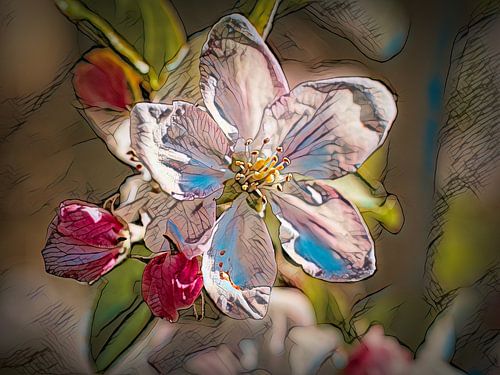 Fleur blanche du pommier