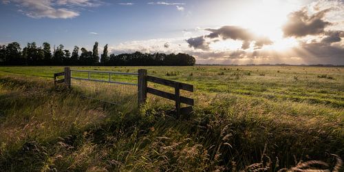 Typisch Nederlands Weidelandschap met Zonnestralen: Een Moment van Rust en Schoonheid