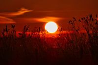 Sunrise in the polder