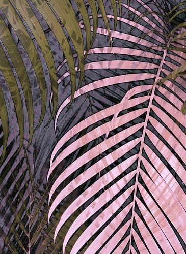 TROPICAL PASTEL POPPY LEAVES-1