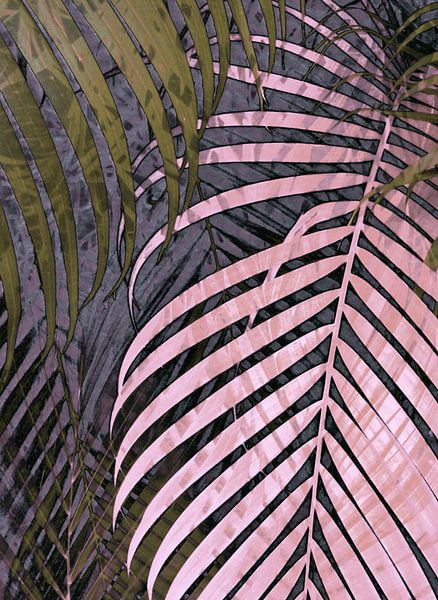 TROPICAL PASTEL POPPY LEAVES-1 par Pia Schneider