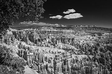 Bryce Canyon in schwarz und weiß