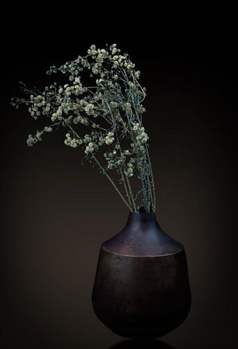 Still life drying branch in vase