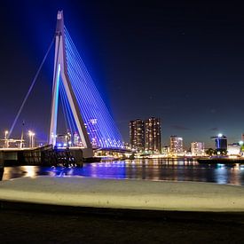 Erasmusbrug van Frank Bison