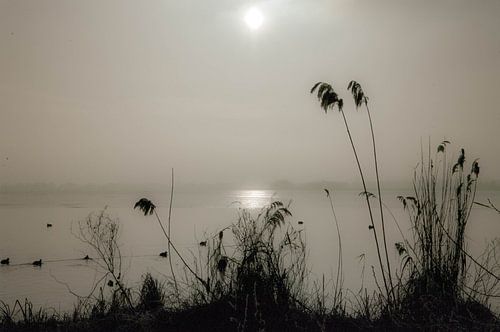 Winter in Loosdrecht