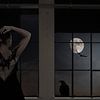 The moon asked the crow van Jenny de Groot