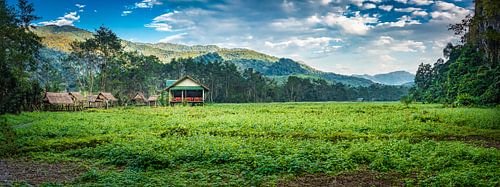 Panoramic cottages in the countryside, Laos
