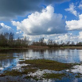 Ciel de mars sur Angela Versteijnen