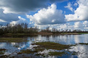 Maartse luchten van Angela Versteijnen