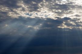 Il pleut..... rayons de soleil sur Bram Tromp