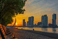 Rotterdam sunrise